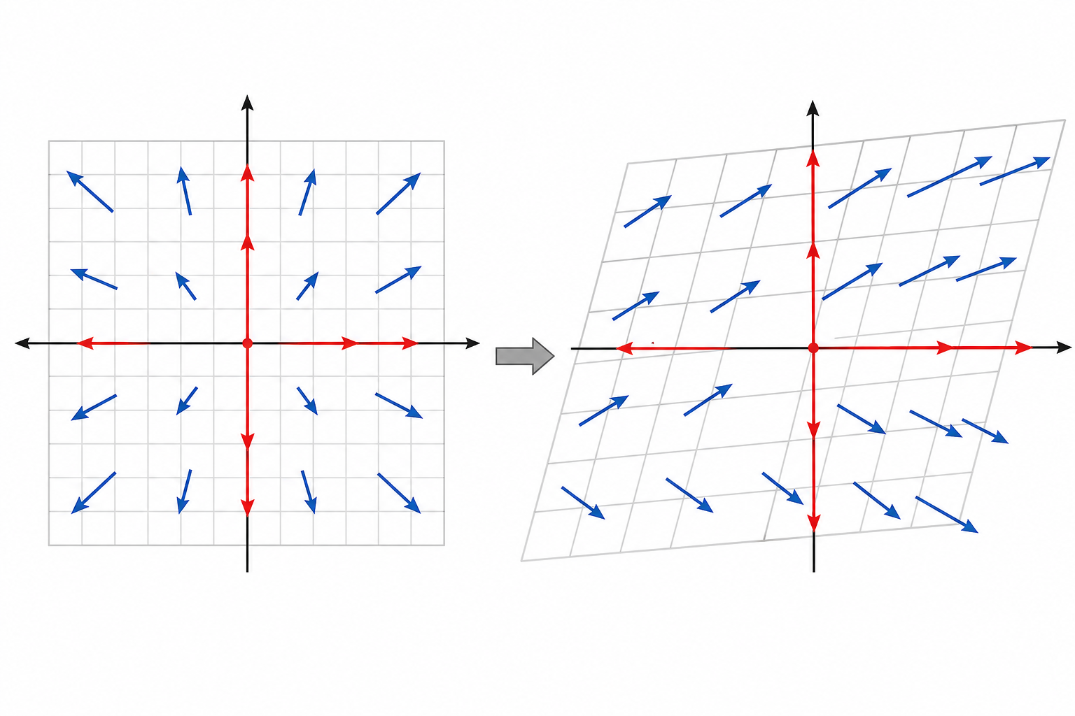 特征向量特殊方向示意图
