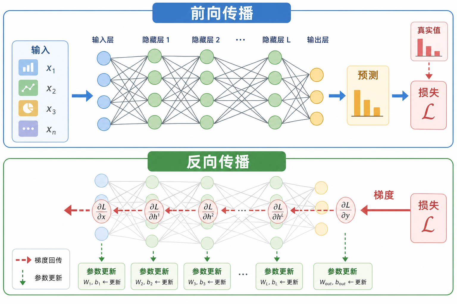 神经网络前向与反向传播图