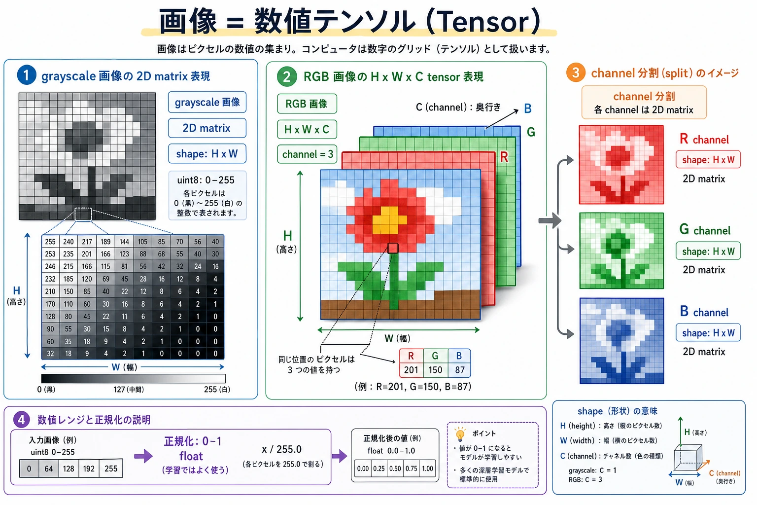 Image array shape and channel map