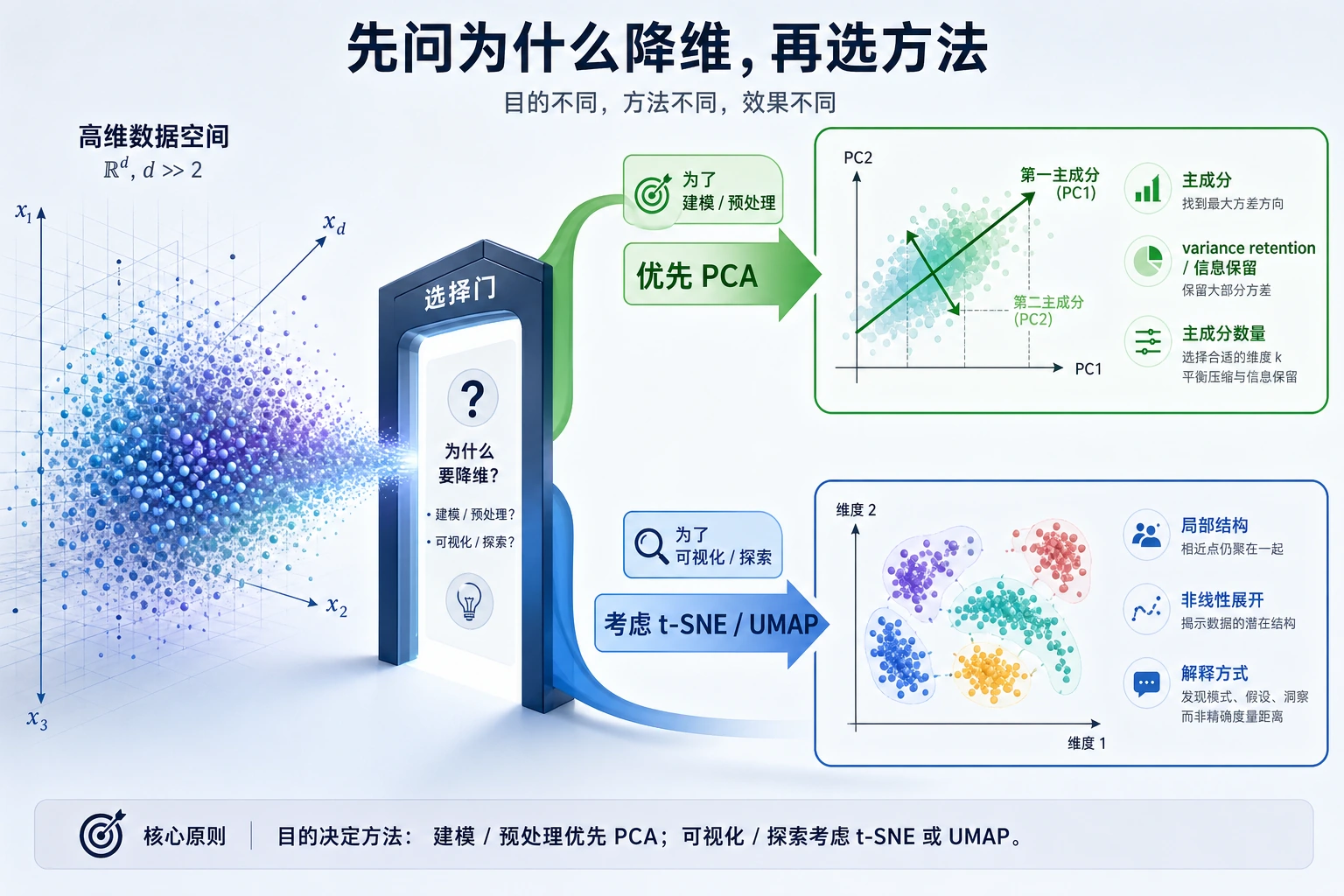 降维目的选择图