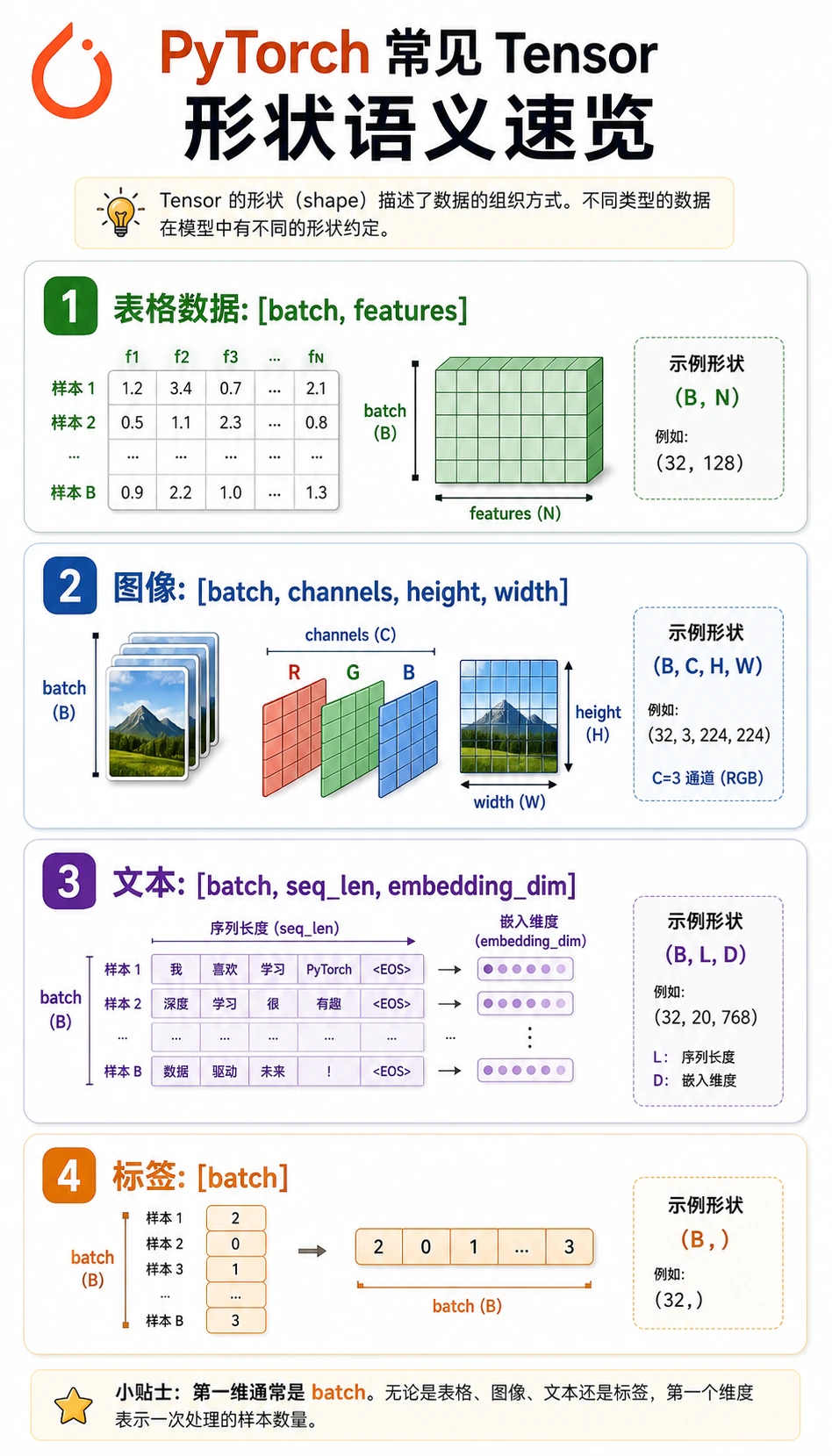PyTorch 张量 shape 语义速查图
